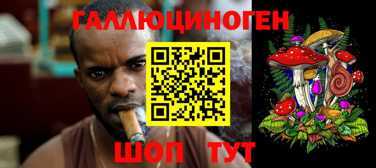 Псилоцибиновые грибы Psilocybe Камышлов