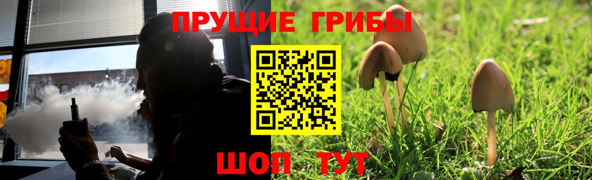 Псилоцибиновые грибы мицелий  Псилоцибиновые грибы прущие грибы  Камышлов  Вход с VPN 